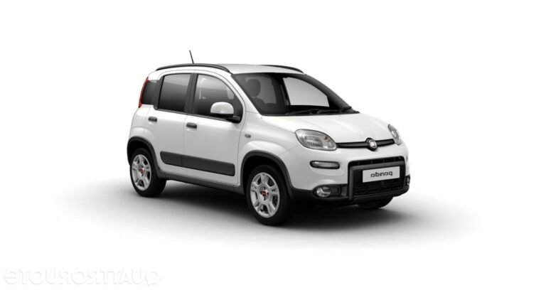 Fiat panda | Benzina rental vehicle